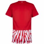 Sport-Club Freiburg Home 2023 - Image 2