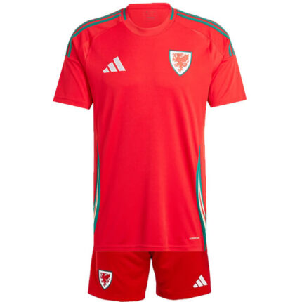 Wales Home Euro 2024 (Kids)