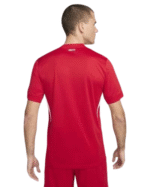 Turkey Away Euro 2024 - Image 3