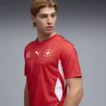 Switzerland Home 2026 - Image 3